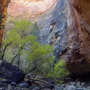 Explore Highlights of the Canyonlands for 7 days with Cosmos and discover unforgettable experiences - Photo 4