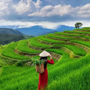 Explore Highlights of Southeast Asia with Phuket for 20 days with Cosmos and discover unforgettable experiences - Photo 7