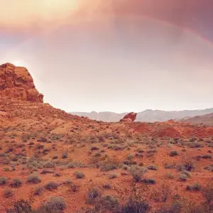 Explore Highlights of the Canyonlands for 7 days with Cosmos and discover unforgettable experiences - Photo 7