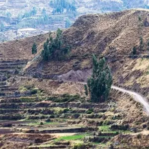 Explore Mysteries of the Inca Empire with Arequipa & Colca Canyon for 15 days with Cosmos and discover unforgettable experiences - Photo 11