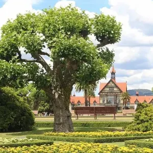 Explore Highlights of New Zealand with Fiji for 14 days with Cosmos and discover unforgettable experiences - Photo 9