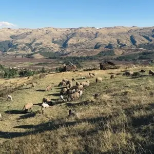 Explore Mysteries of the Inca Empire with Peru's Amazon & Arequipa & Colca Canyon for 19 days with Cosmos and discover unforgettable experiences - Photo 5