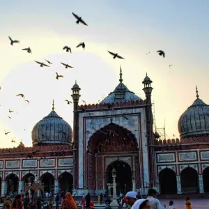 Explore India's Bestseller: 5 Days Golden Triangle Tour From Delhi Airport for 5 days with Coxan Tours and discover unforgettable experiences - Photo 3