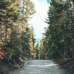 Explore Canadian Masterpiece with Rocky Mountaineer & Alaska Cruise for 19 days with Cosmos and discover unforgettable experiences - Photo 2