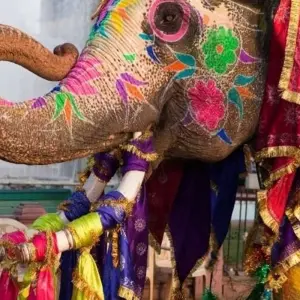 Explore Golden Triangle tour with Vrindavan for 8 days with Coxan Tours and discover unforgettable experiences - Photo 6