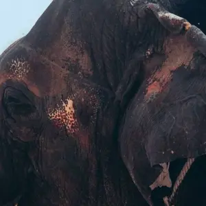 Explore 6-Day Golden Triangle Tour: From New Delhi Airport to Delhi, Agra & Jaipur for 6 days with Creative India Journey and discover unforgettable experiences - Photo 4