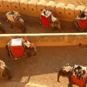 Explore Heritage Trail: Golden Triangle Tour with Kolkata for 8 days with Creative India Journey and discover unforgettable experiences - Photo 3