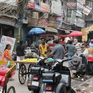 Explore Golden Triangle Tour with Tiger Safari in Ranthambore for 6 days with Cox & Queen Travel and discover unforgettable experiences - Photo 10
