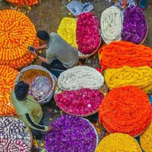 Explore Enchanting Kolkata: A 4-Day Journey Through History, Culture, and Charm for 4 days with Creative India Journey and discover unforgettable experiences - Photo 7