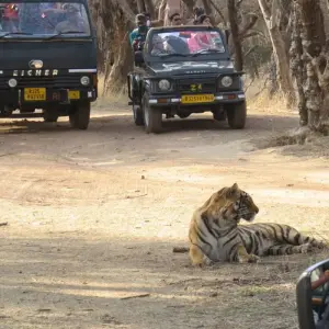 Explore Taj Mahal & Tigers - Golden Triangle India Tour with Ranthambore 7 Days for 7 days with Creative India Journey and discover unforgettable experiences - Photo 6