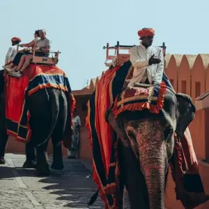 Explore 2 Days Golden Triangle Tour of India for 2 days with Creative India Journey and discover unforgettable experiences - Photo 11