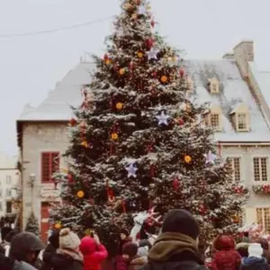 Explore Christmas markets cruise MS Albertina for 5 days with Crucemundo  and discover unforgettable experiences - Photo 7