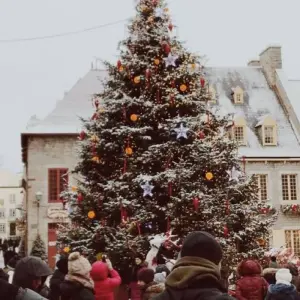 Explore Chrsitmas or New Year Danube Cruise (Vienna-Vienna) MS Fidelio for 8 days with Crucemundo  and discover unforgettable experiences - Photo 7