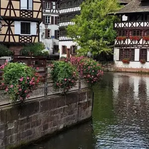 Explore Treasures of the Rhine cruise (Basel-Amsterdam) MS Crucevita for 8 days with Crucemundo  and discover unforgettable experiences - Photo 8
