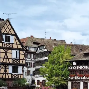Explore Treasures of the Rhine cruise (Basel-Amsterdam) MS Crucevita for 8 days with Crucemundo  and discover unforgettable experiences - Photo 9