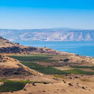 Explore Israel in Depth for 10 days with Crooked Compass and discover unforgettable experiences - Photo 4