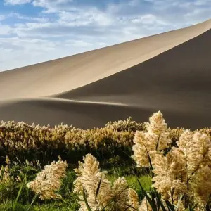 Explore Following Marco Polo for 25 days with Crooked Compass and discover unforgettable experiences - Photo 11