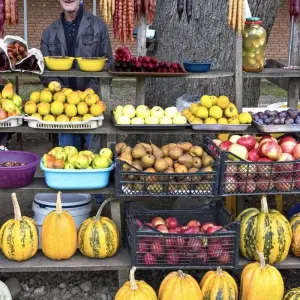 Explore Flavours of the South Caucasus – Georgia & Armenia for 12 days with Crooked Compass and discover unforgettable experiences - Photo 3