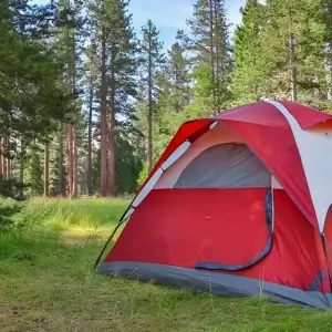 Explore Rainbow Mountain Palcoyo Picnic - Full Day for 1 days with Crossover Peru and discover unforgettable experiences - Photo 6