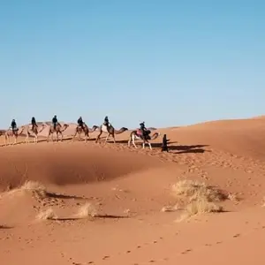 Explore Chase Around Egypt for 10 days with Crooked Compass and discover unforgettable experiences - Photo 3