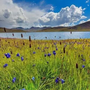 Explore Rama & Fairy Meadows Tour, Gilgit-Baltistan, Pakistan for 12 days with Crossroads Adventure  and discover unforgettable experiences - Photo 8