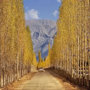 Explore Autumn in Pakistan Tour (Islamabad, Skardu, Nager Valley, Hunza, Gojal Valley, Gilgit-Baltistan) for 10 days with Crossroads Adventure  and discover unforgettable experiences - Photo 8