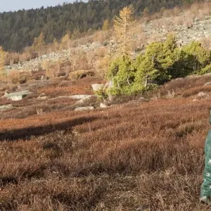 Explore Reindeer Tribes of Mongolia for 10 days with Crooked Compass and discover unforgettable experiences - Photo 3