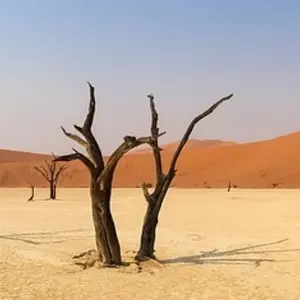 Explore Raw Namibia for 12 days with Crooked Compass and discover unforgettable experiences - Photo 6