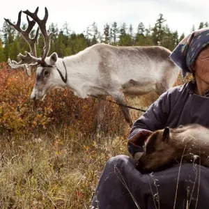 Explore Reindeer Tribes of Mongolia for 10 days with Crooked Compass and discover unforgettable experiences - Photo 9