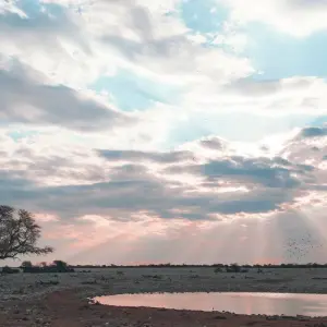 Explore Raw Namibia for 12 days with Crooked Compass and discover unforgettable experiences - Photo 7