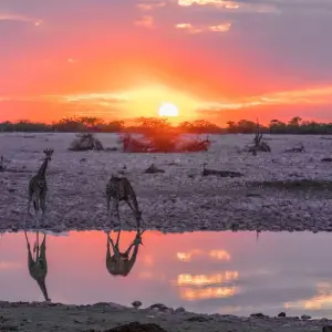 Explore Raw Namibia for 12 days with Crooked Compass and discover unforgettable experiences - Photo 11