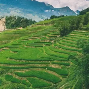 Explore 3-Night Sapa Trek and Homestay with Round Trip Transfer from Hanoi for 3 days with Crossing Vietnam Tour and discover unforgettable experiences - Photo 6