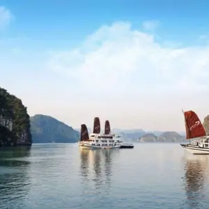 Explore 3-Day Ha Long Bay on Deluxe 4-star Cruise with Kayaking, Swimming, Cooking Class,... for 3 days with Crossing Vietnam Tour and discover unforgettable experiences - Photo 8