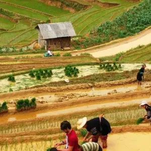 Explore 3-day Sapa trekking and Bac Ha market on Sunday for 3 days with Crossing Vietnam Tour and discover unforgettable experiences - Photo 6
