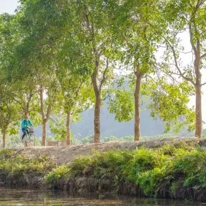 Explore Hoa Lu, Tam Coc & Mua Cave Full-Day Trip with Limousine, Cycling, Bamboo Boat,... for 1 days with Crossing Vietnam Tour and discover unforgettable experiences - Photo 3