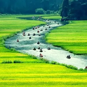 Explore Hoa Lu, Tam Coc & Mua Cave Full-Day Trip with Limousine, Cycling, Bamboo Boat,... for 1 days with Crossing Vietnam Tour and discover unforgettable experiences - Photo 4