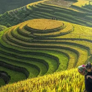 Explore Sapa Adventure: Hard Trekking for 6 days 5 nights for 6 days with Crossing Vietnam Tour and discover unforgettable experiences - Photo 9