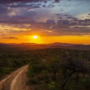 Explore South Africa Odyssey (from Johannesburg to Cape Town) for 14 days with Cullinan Guided Journeys and discover unforgettable experiences - Photo 2