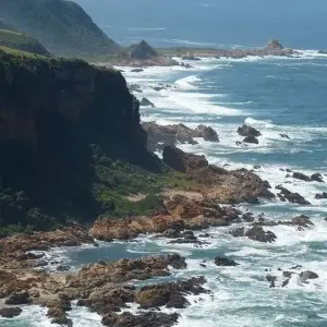 Explore Garden Route Splendour for 6 days with Cullinan Guided Journeys and discover unforgettable experiences - Photo 6