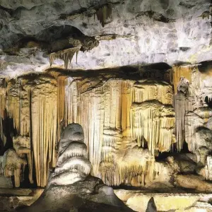 Explore Garden Route Uncovered for 5 days with Cullinan Guided Journeys and discover unforgettable experiences - Photo 6