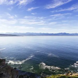 Explore Garden Route, Safari & Winelands Wonder for 6 days with Cullinan Guided Journeys and discover unforgettable experiences - Photo 8