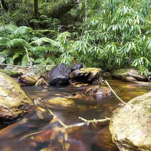 Explore Garden Route Uncovered for 5 days with Cullinan Guided Journeys and discover unforgettable experiences - Photo 7