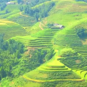 Explore Best of North Vietnam - 7 days for 7 days with Crossing Vietnam Tour and discover unforgettable experiences - Photo 8