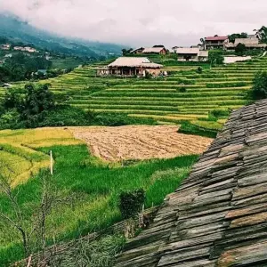 Explore From Hanoi: 3-Day Sapa Tour with Fansipan Peak Visit for 3 days with Crossing Vietnam Tour and discover unforgettable experiences - Photo 6