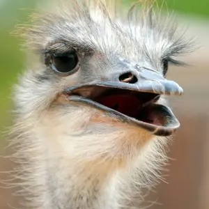 Explore Garden Route Discovered for 4 days with Cullinan Guided Journeys and discover unforgettable experiences - Photo 9