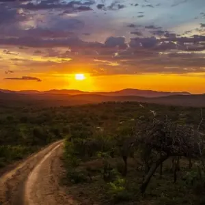 Explore Kruger Park Explorer for 4 days with Cullinan Guided Journeys and discover unforgettable experiences - Photo 8