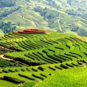 Explore Highlight northern Vietnam Tour 7 days/6 nights for 7 days with Crossing Vietnam Tour and discover unforgettable experiences - Photo 11