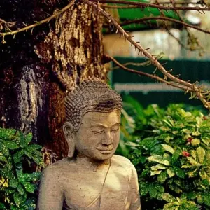 Explore Highlights of Vietnam Tour - 14 days for 14 days with Crossing Vietnam Tour and discover unforgettable experiences - Photo 4