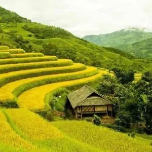 Explore THE BEST OF NORTHEAST VIETNAM - 7 DAYS / 6 NIGHTS for 7 days with Crossing Vietnam Tour and discover unforgettable experiences - Photo 3