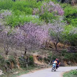 Explore THE BEST OF NORTHEAST VIETNAM - 7 DAYS / 6 NIGHTS for 7 days with Crossing Vietnam Tour and discover unforgettable experiences - Photo 6